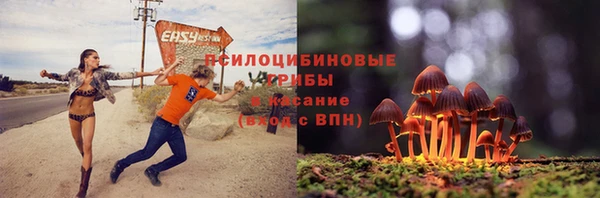 таблы Протвино