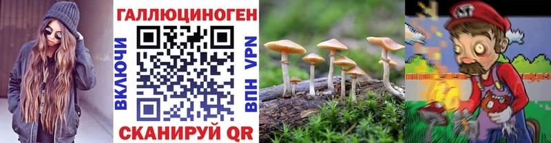 Псилоцибиновые грибы MAGIC MUSHROOMS  наркотики  Торжок 